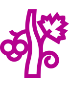 Médoc